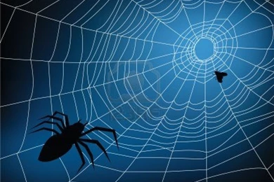 Spider Web Backgrounds Wallpapers Cave
