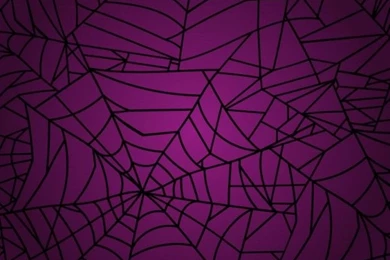 Spider Web Backgrounds Vector