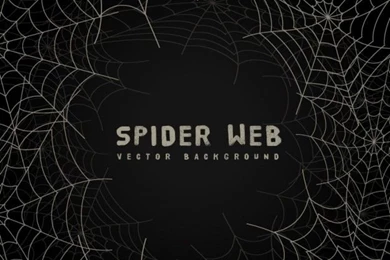 Spider Web Backgrounds On Blackboard Vector