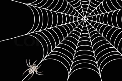Spider, Bat And A Web On A Black Backgrounds