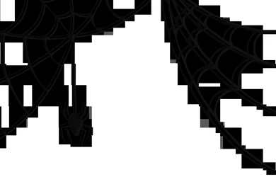 Best Spider Web Png