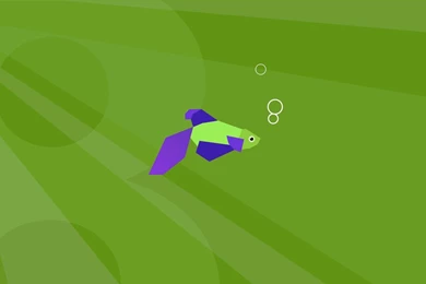 Windows 8 Beta Fish Modern Look Like Wallpapers By Mir808 On DeviantArt