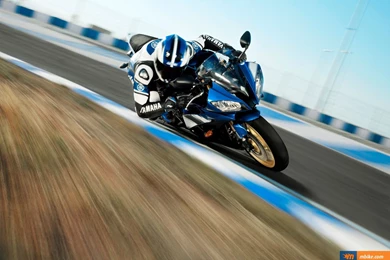 2008 Yamaha YZF R6 Wallpapers   Mbike.com