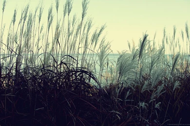 December 2014   Natalia Wallpapers