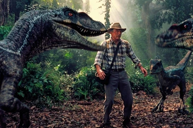 Scene From Jurassic Park Wallpapers 1920x1080 (1080p)   Wallpapers ...