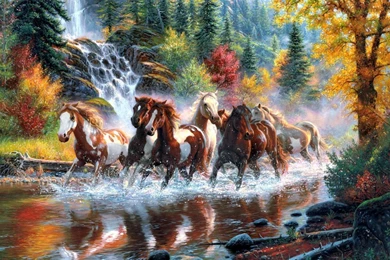 Horses Running In The River Artistic Hd Wallpapers 1920×1200 17937 ...
