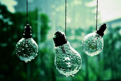 Download Cool Rain Drops On Bulb Wallpapers