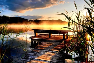 1280x800 Jetty Lake Sunset Reed Fog Desktop PC And Mac Wallpapers