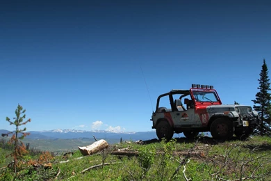 Jurassic Park Jeep To The Top Wallpapers