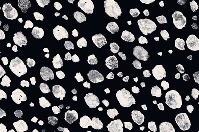 The Desktop Wallpapers Project