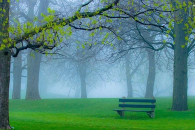 Peaceful Place In The Park Wallpapers