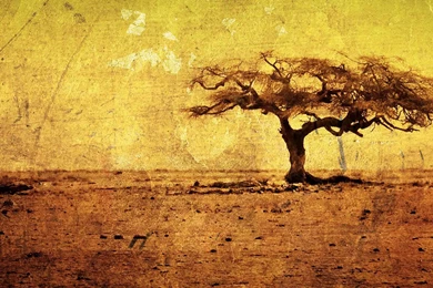 Blood Diamond   Solomon Vandy(James Newton Howard)   YouTube