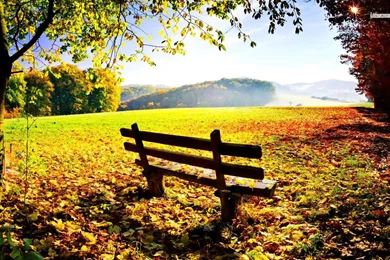Peaceful Autumn Day Wallpapers