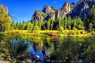 PEACEFUL WALLPAPER   (