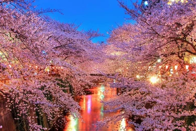 Peaceful River >> HD Wallpaper, Get It Now!