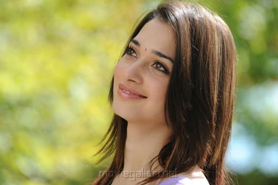 Beautiful Heroines Wallpapers   Wallpapers HD Base