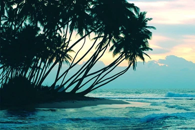 Beautiful Summer Wallpapers 3 Crazy Frankenstein