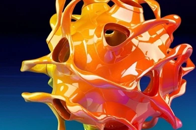 Free Wallpapers For Phone   Wallpapers High Definition