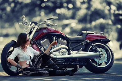 Wallpapers Harley Davidson Bike