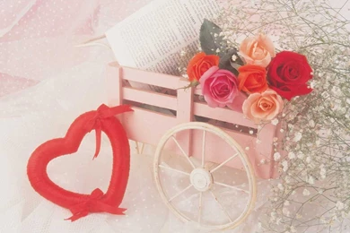 New Latest Valentine's Day 2009 Heart Red Flowers Wallpapers ...