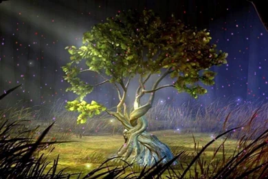 Top 10 Animated Wallpapers Archives   Free Wallpapers In