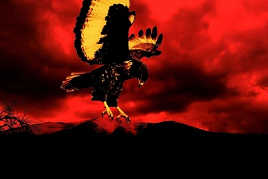 Horus Sun God Bird Of Prey Sunset Best