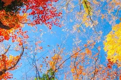 IPHONE 6 WALLPAPER TUMBLR HIGH DEFINITION WSK009