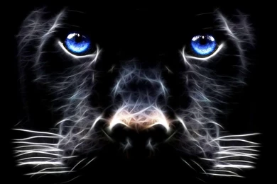 Animated Panther Top Wallpapers.jpg