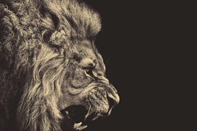 Futuristic Industrial Orchestral Action Dubstep Backgrounds Music ...