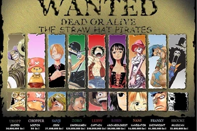 One Piece Wanted Backgrounds Hd