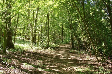 Desktop / Wallpapers   Rutland Water   UK Walks