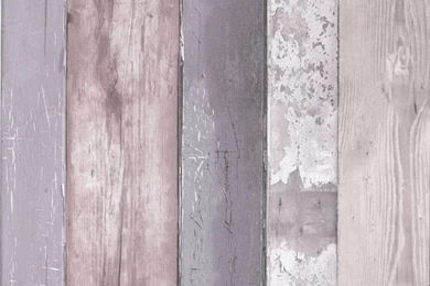 Colours Paste The Wall Woodland Wallpapers