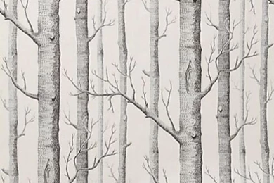 Woodland Wallpaper. A Patterned Wallpapers Makes Such A Bold ...