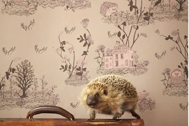 Woodlands Wallpapers   Brown Pink — Sian Zeng