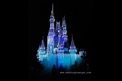 Walt Disney World For Computer (id: 197684) – BUZZERG