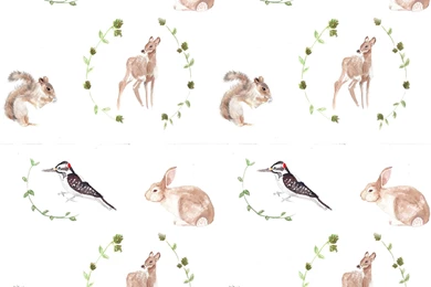 Woodland Animal Wallpapers   ShopSCAD