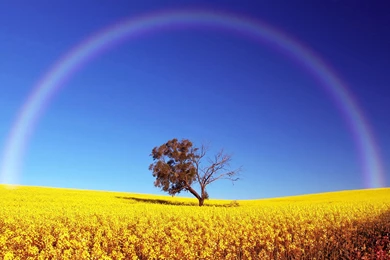 High Quality 2560x1600 Wallpapers