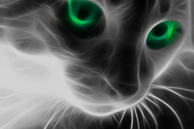 Abstract Cat With Green Eyes Wallpapers