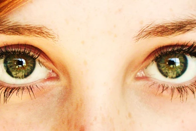 1920x1200px Cat Wallpapers Cute Green Eyes