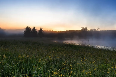 Landscape Wallpapers, Hd Desktop Images, Green, Sky, Mother Nature ...