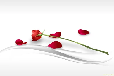 Festival, Valentine, Wallpapers, Conquer (