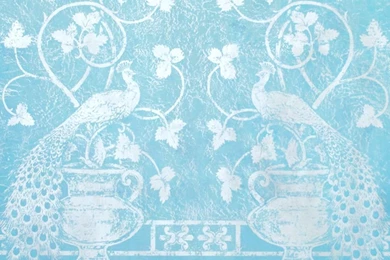 C O O L — Arena Design