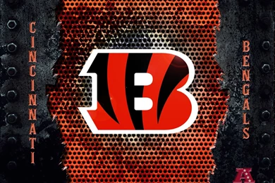 Desktop Wallpapers   Cincinnati Bengals