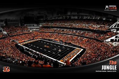 Cincinnati Bengals HD Wallpapers