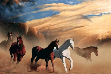 Race Of Survival Desktop Backgrounds HD 2560x1600