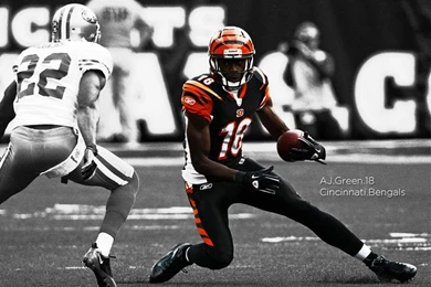 Desktop Wallpapers   Cincinnati Bengals