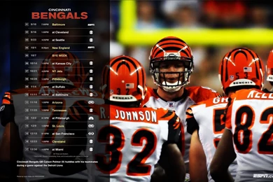 Cincinnati Bengals Wallpapers   119581