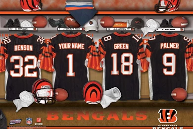 Bengals Wallpapers