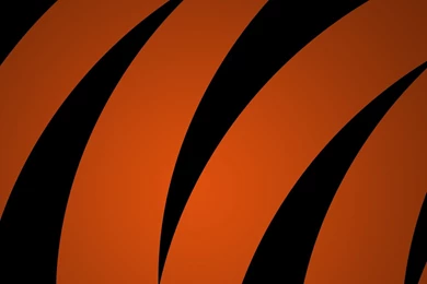 Tigers Duel Dual Monitor Bengals