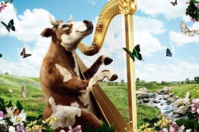 Funny Cows Singing Wallpapers 1920x1080 Wallpapers HD Wallpapers ...